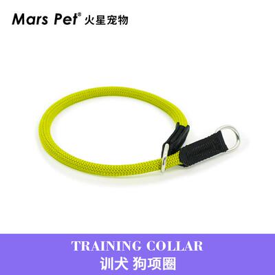 BeauGo狗项圈p绳p链项圈大型犬狗脖圈小型犬宠物项圈专用训犬项圈