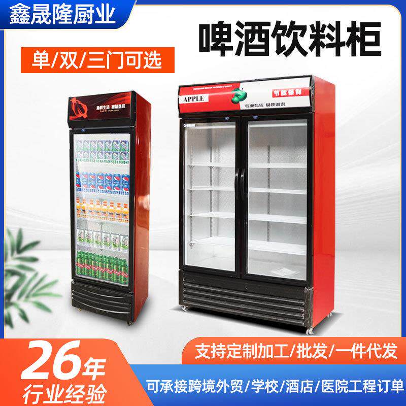 跨境货源啤酒柜便利店商超单双三门冷藏留样柜啤酒饮料冷藏展示柜