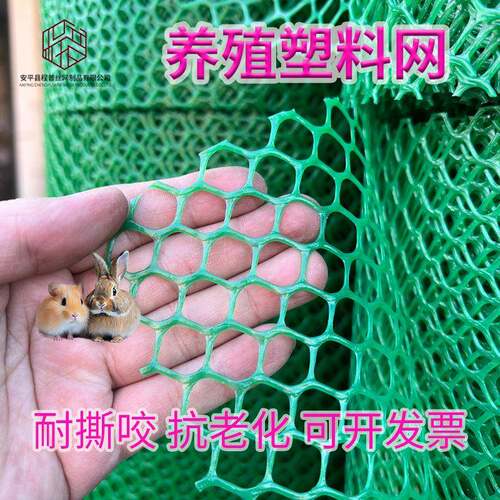 现货加厚塑料网家禽宠物养殖漏粪网宠物笼防护塑料围栏塑料网