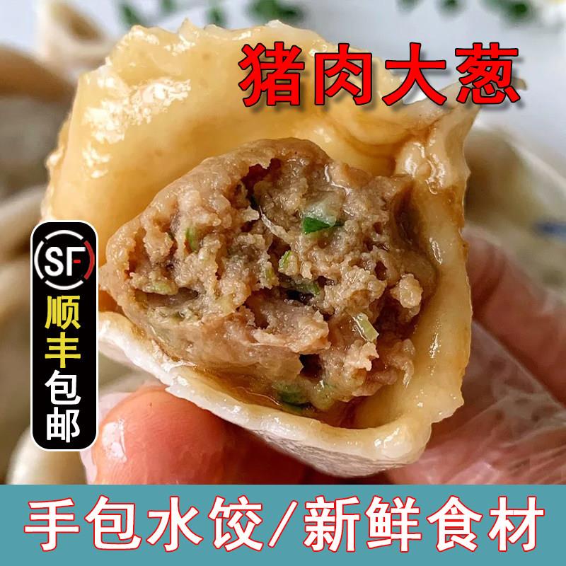 猪肉大葱手工水饺肉馅饺子茴香肉韭菜鲜肉饺子大馅饺子早餐煎饺