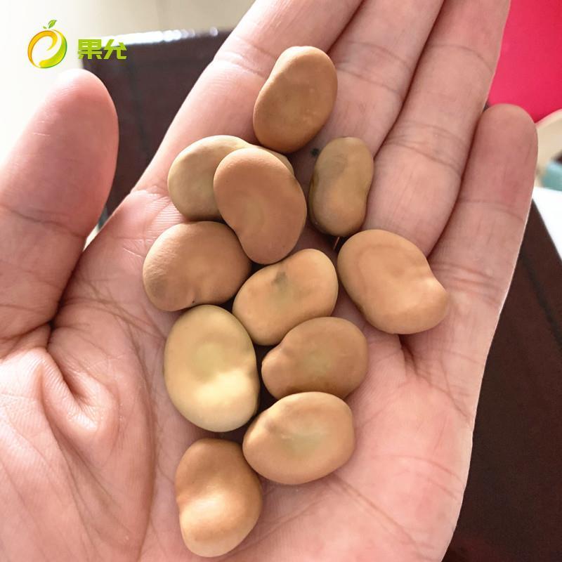 新货干蚕豆5斤 新鲜散装生蚕豆罗汉豆胡豆干货可发芽油炸蚕豆小吃