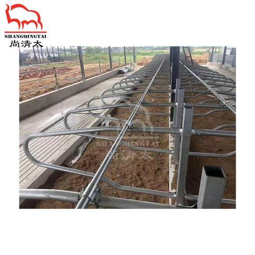 牛卧栏镀锌管牛栏牛场定位限位栏对头双卧栏位畜牧设备