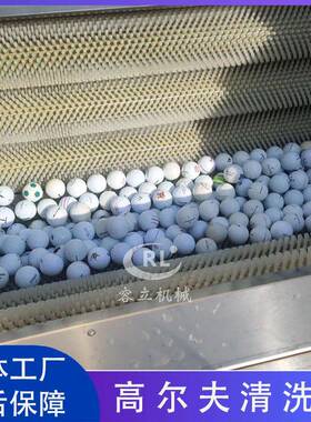 商用毛刷式小皮球清洗机弹力球尔夫球去杂质机器毛辊清洗机