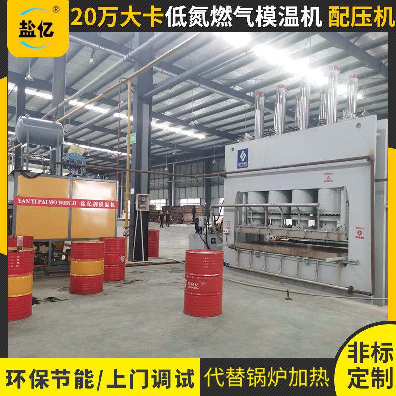 亿非标定制 工业燃气模温机 热压机用有机热载体燃气锅炉
