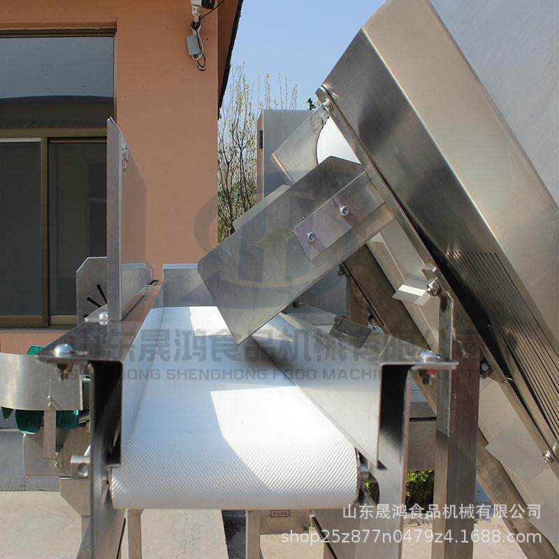 扇贝肉贝类海鲜称重分级重量分选机自动选别机称重分拣机