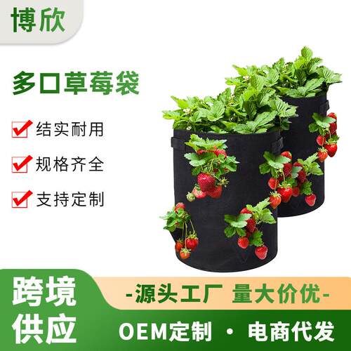 亚马逊爆款多孔毛毡黑色草莓种植袋加强版无纺布美植袋多口草莓袋