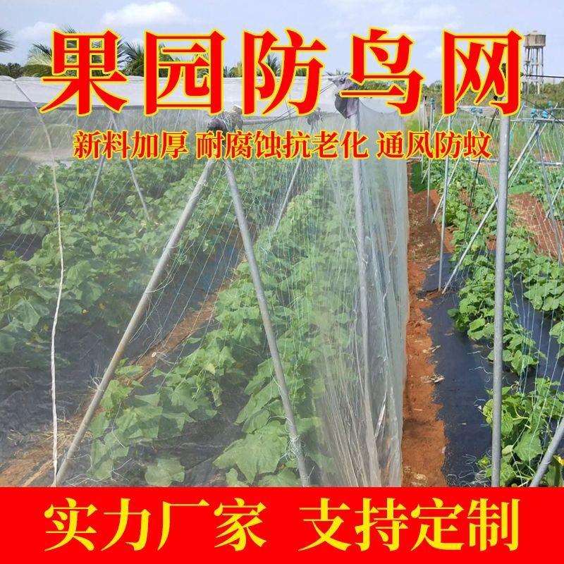 防虫网农用蔬菜大棚网加厚养猪围栏网猪用防蝇网养猪场防蚊网