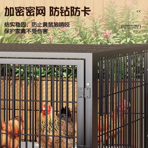 鸡笼子家用内室外大号方管防室农雨村鸽782自动清粪鸡鸭鹅养殖笼