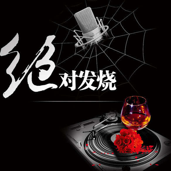 【独家制作】高端配置车型专用真原音母带碟片 高品质定制光碟