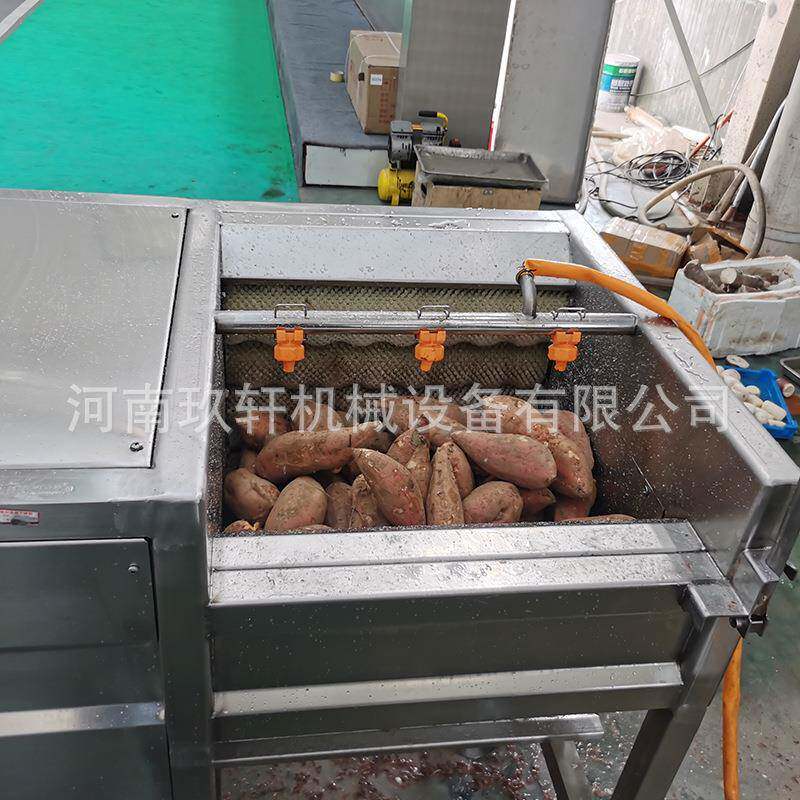 根茎类果蔬毛辊清洗机大型去皮机土豆紫薯毛刷脱皮机