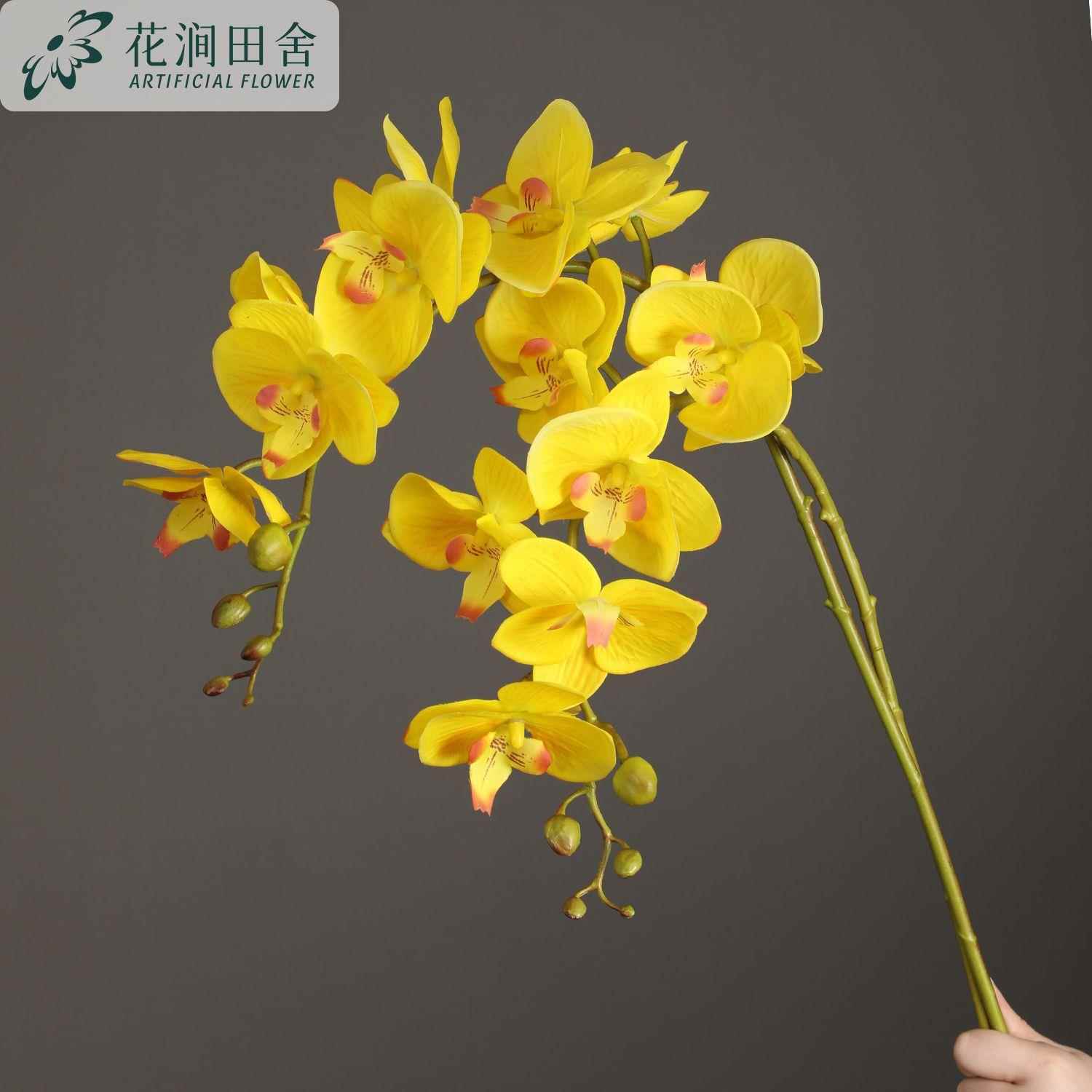 单枝真花蝴蝶兰手感过胶保湿蝴蝶兰婚庆假花装饰客厅玄关摆设