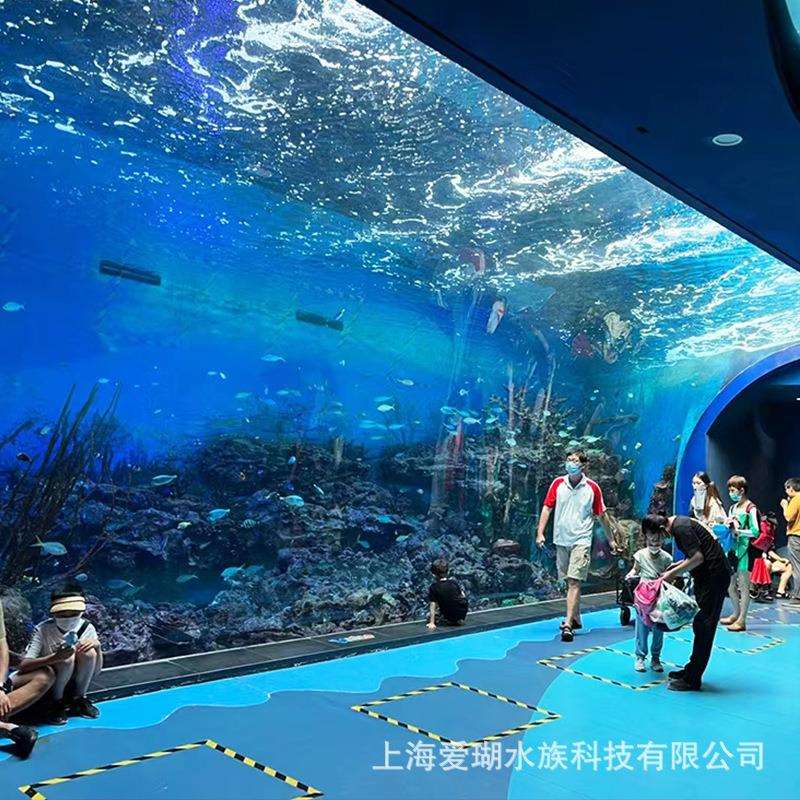 海洋水族馆图纸设计施工 承接大型海洋馆工程 水族馆安装造景工程