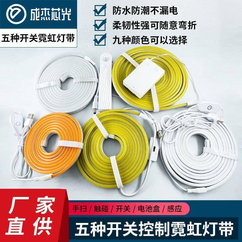 5VLED低压触摸开关柔性霓虹灯条USB霓虹灯网红造型墙面布置画框造