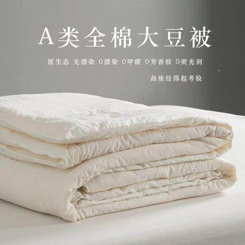Sofe Comforter Duvet Blanket Air Condition Quilt Summer 夏被