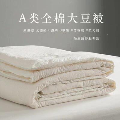 Sofe Comforter Duvet Blanket Air Condition Quilt Summer 夏被