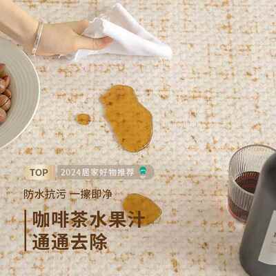 Carpet Bedroom Carpet Home Decor Sofa Rug Coffee Table Floor