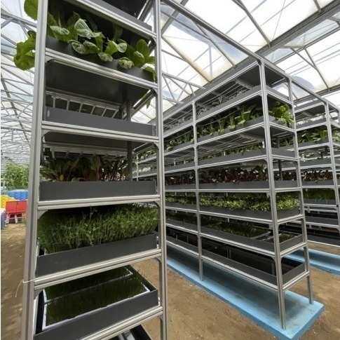 耐腐防水栽培种植框架 温室大棚植物种植架 耐腐防水栽培种植框架