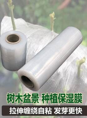 天猫优质好物/收藏加购=优先发货