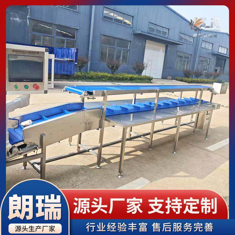 五米双层步进输送带组合秤配套使用果蔬水产肉类车间输送设备