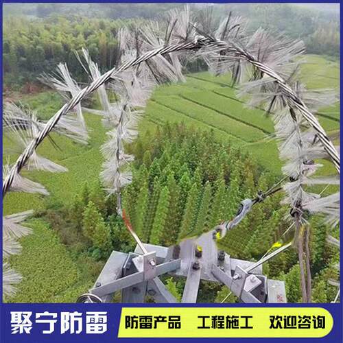 多针式消雷装置电荷消除抑制雷电先导电晕场主动防雷设备驱雷器