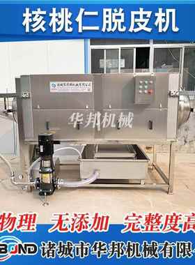 皮现货供榧应核桃香加工设备核桃BBV仁皮清洗机 不锈钢物理去脱设