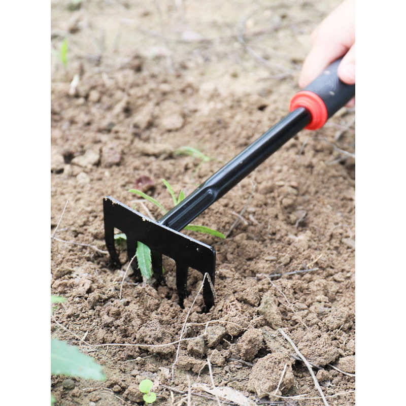 三件套工具种花铁铲套装盆栽铲子种菜养花松土沙滩家用赶海小园艺