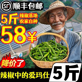 正宗湖南樟树港小辣椒9斤新鲜青辣椒现摘农家，薄皮嫩青椒5