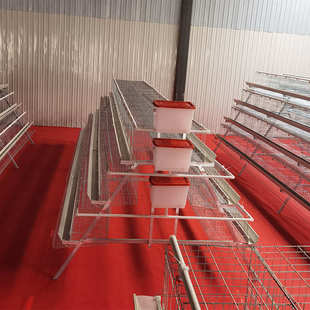 阶梯蛋鸡笼 蛋鸡养殖笼 立式层叠养鸡笼批发 阶梯式立体蛋鸡笼