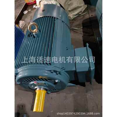 长期供应Y2-315S-1045W低速三相异步电动机全新国标质量三包