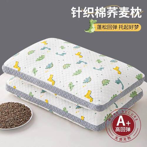 纯荞麦壳儿童枕头护颈椎助睡眠枕芯家用一对6岁以上四季通用整头