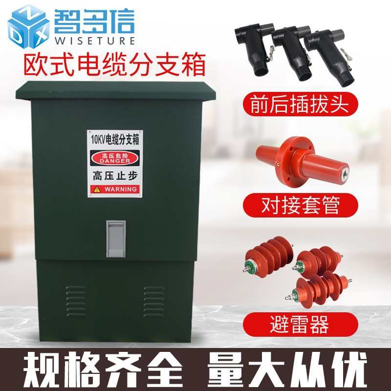 智多信厂家10kv高压电缆分支箱DFW-12/630户外欧式不锈钢分接箱