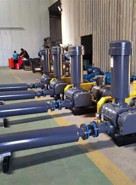 三叶EPH罗茨鼓风机污水处理用罗风茨风风机水产增氧机硝 脱硫脱机