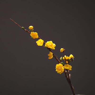 春三月舞花枝腊梅人造花梅花古典舞逸燃七花表演道具