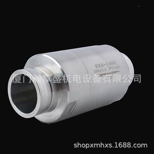 厂家接头逆止阀向阀双相不锈钢止回阀HXS1001耐腐蚀
