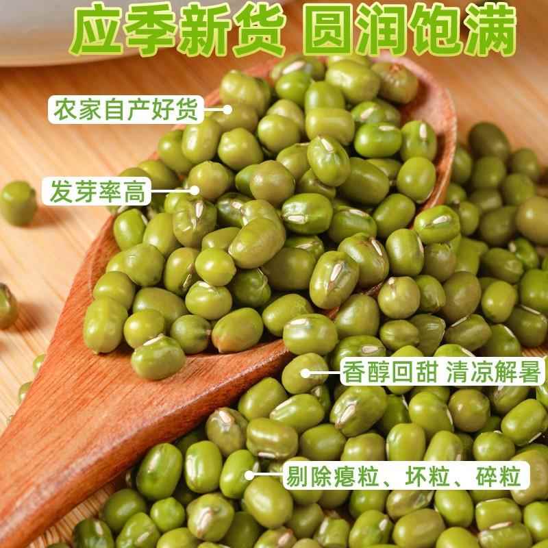 精选绿豆新货家用新鲜脱皮绿豆商用发豆芽专用缘豆子大粒
