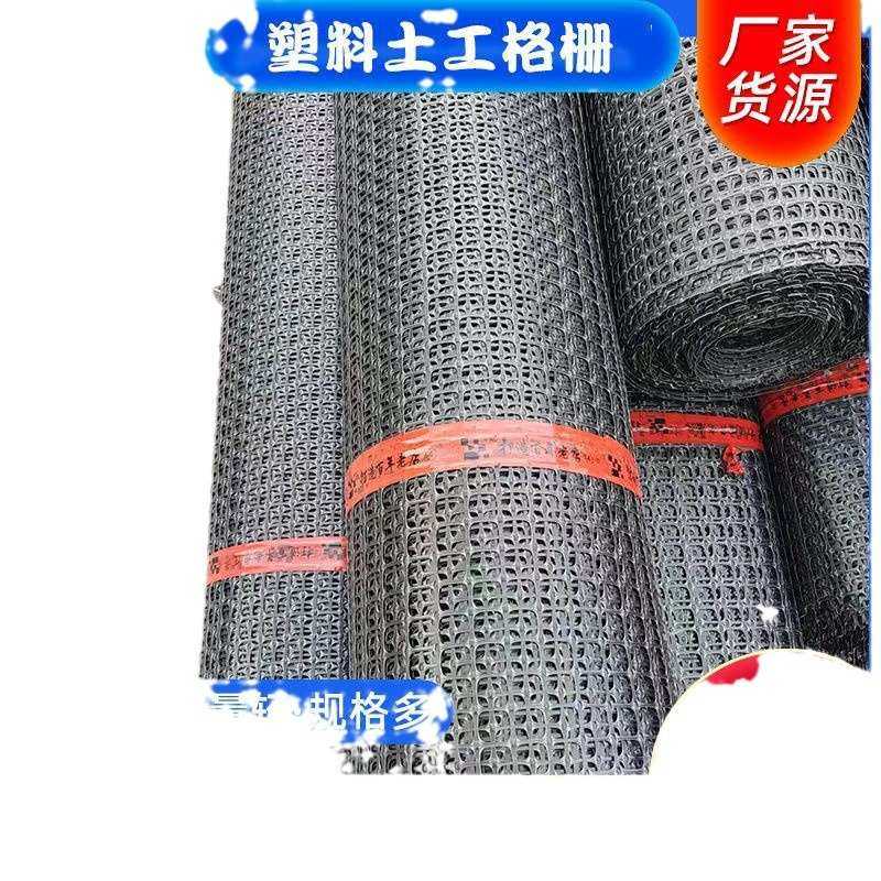 新塑料网格养殖网土工格栅果园鱼塘防护网圈地网漏粪网鸡鸭围栏网,五金/工具,护栏/隔离栏,淘宝优惠券,粉丝福利购,淘宝优惠卷