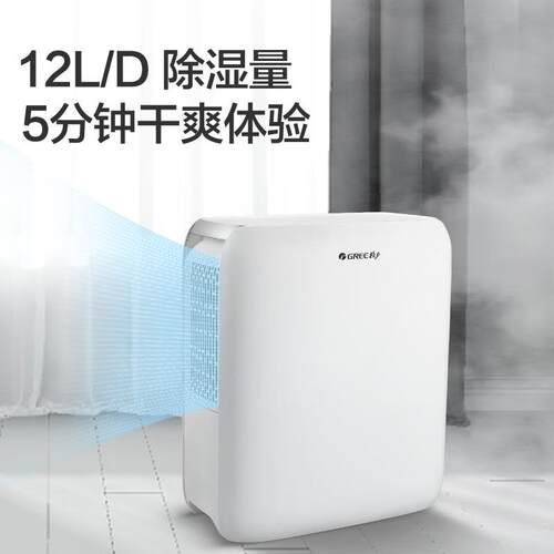 格.力除湿机DH12EN家用小型卧室潮湿除湿除湿器干燥机静音高效除