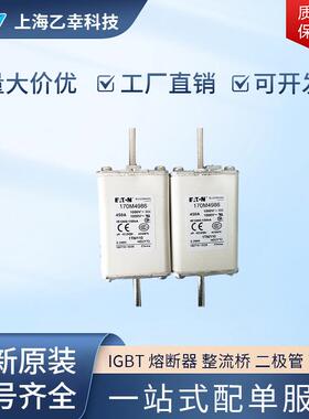 巴斯曼熔断器 170M4985 170M4986 170M4987 170M4988 170M4989
