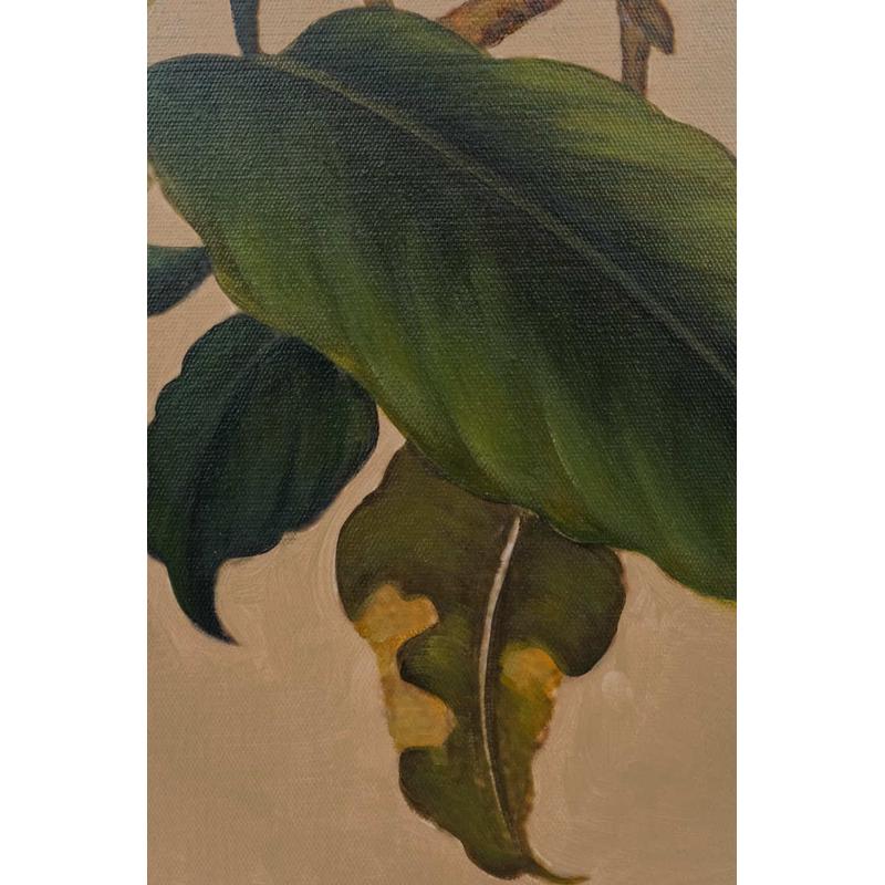 xyt手绘画《枇杷山鸟》暖调好寓意入户客厅餐厅玄关新中式艺术画