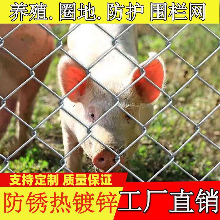 铁丝网镀锌防锈勾花网围栏圈山圈地果园防护网养狗牛羊猪养殖围网