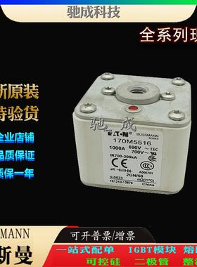 巴斯曼170M5532 170M5533 170M5534 厂价直销批零兼营 紧凑熔断器