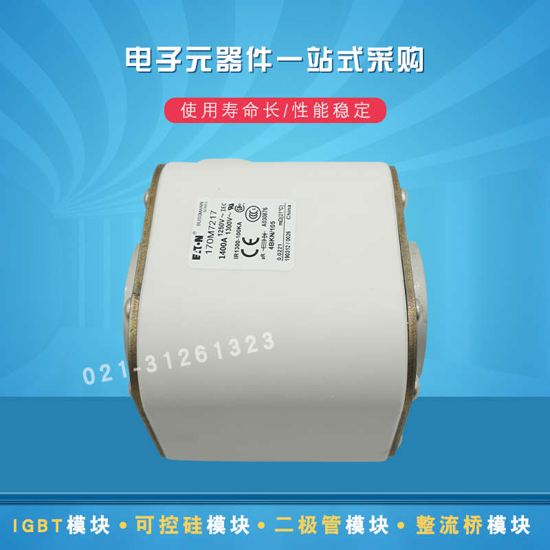 巴斯曼熔断器保险丝170M7227 7228 7229 7231 7235 7238 7239全新