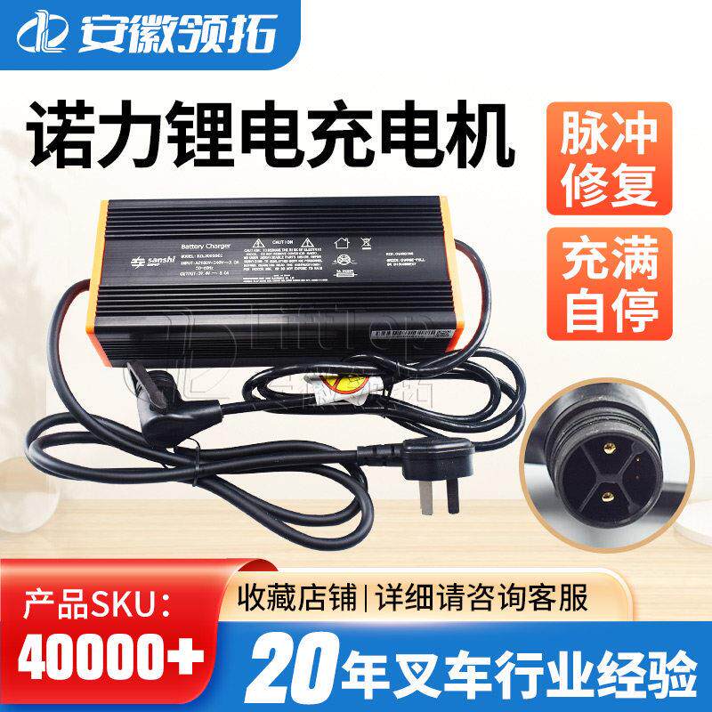 电动堆高机配件充电器天罡20锂电池充电机(54.6V/9A)DZL500SS02现