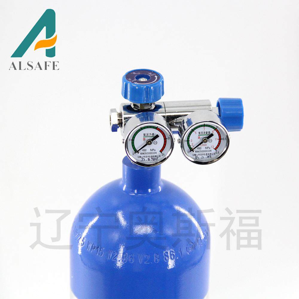 L厂家腐2.8氧气耐蚀便携LW-120-2高压充装容瓶器双表阀