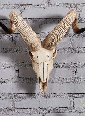 原始头骨壁挂意挂墙饰挂饰门口挂件品仿饰真动AMT物羊头羊创家居