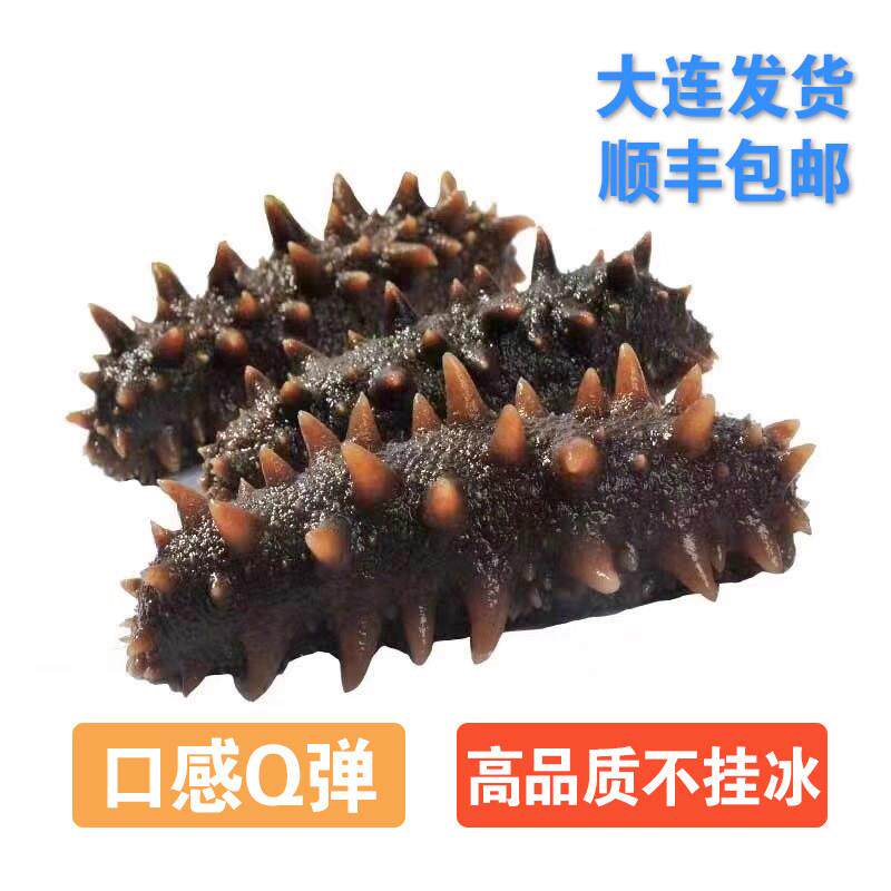 【新品促销】大连即食海参一斤 单只独立真空包装冷冻 开袋即食