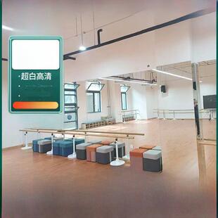 北京定制舞蹈工作室可移动超大全身镜子瑜伽室健身地板镜子排练大