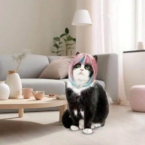 Pet Wig Costume Pet Trimmable Costume Funny Wig Photography