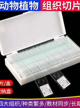 43507人血涂片人血切片人体四大组织生物实验切片显微镜切片套装