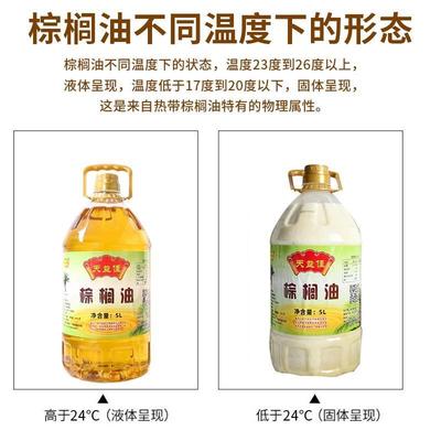 天益佳棕榈炸专用食用油 不含反式脂肪油酸的天然起酥油 刷盘底油
